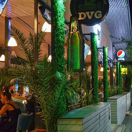 Dvg Tineret