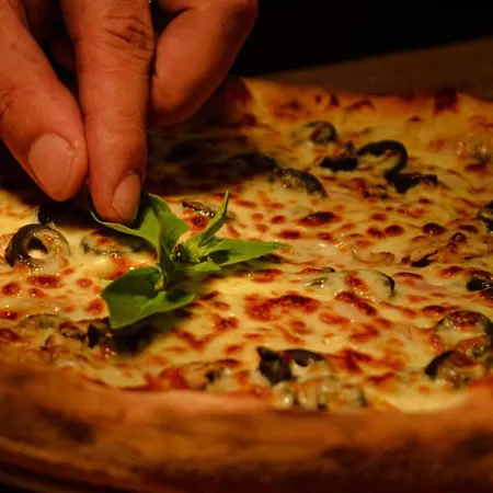 Dvg Tineret 2* Schitu