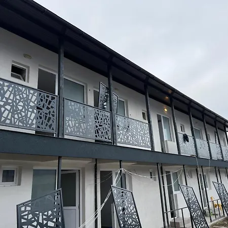 ホテル Dvg Tineret 2*