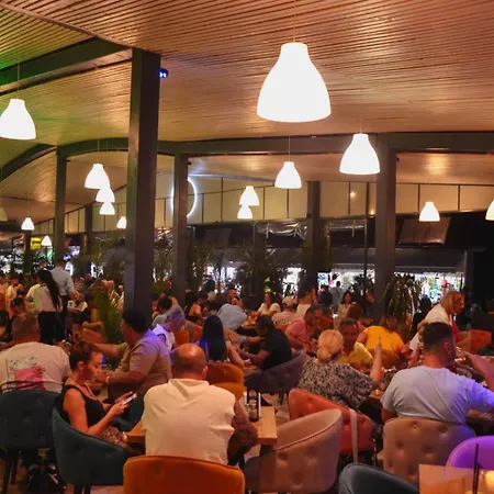 Dvg Tineret ホテル