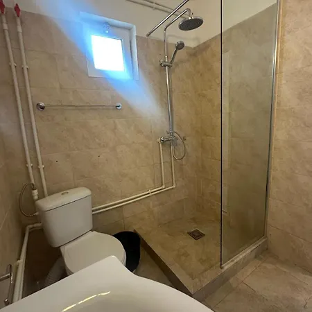Dvg Tineret