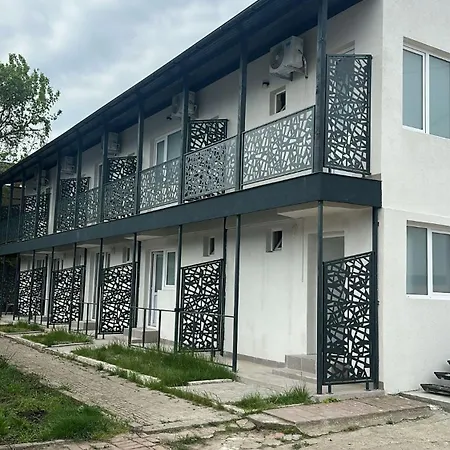 Dvg Tineret 2*