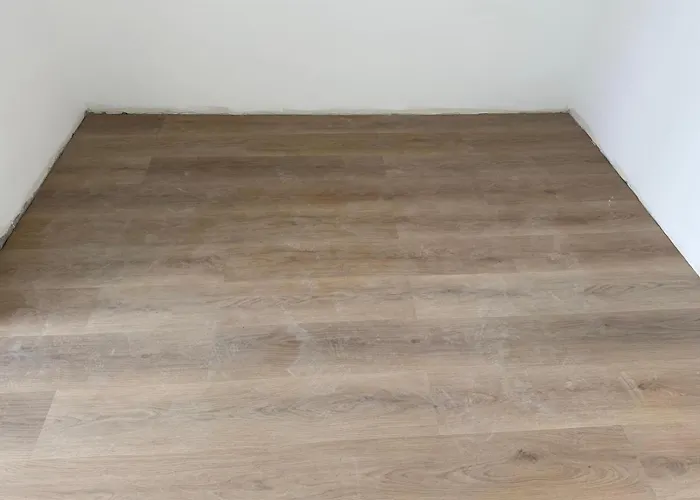 ホテル Dvg Tineret Schitu