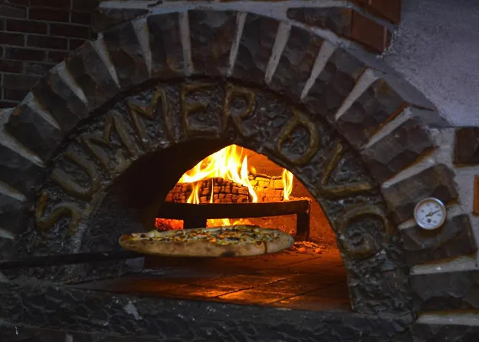 Отель Dvg Tineret Schitu