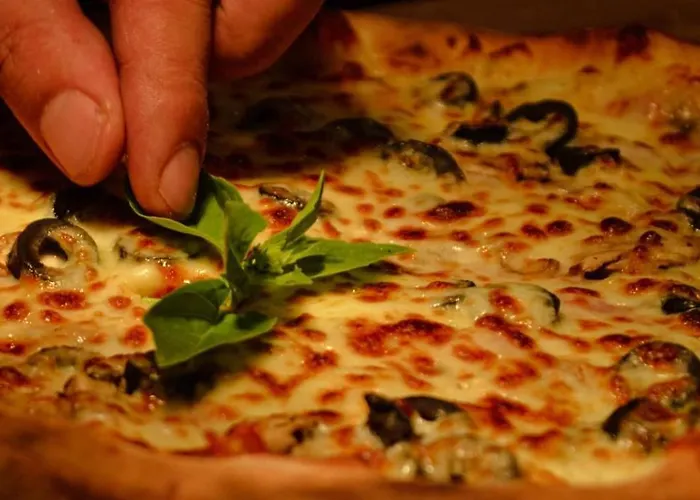 Dvg Tineret 2* Schitu