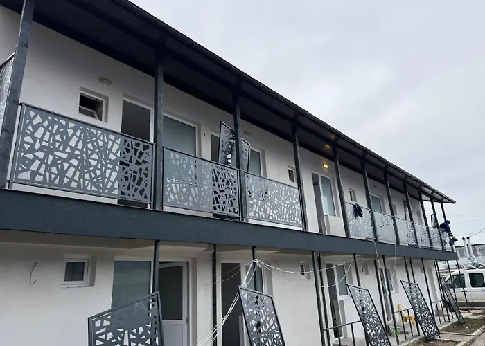 ホテル Dvg Tineret 2*